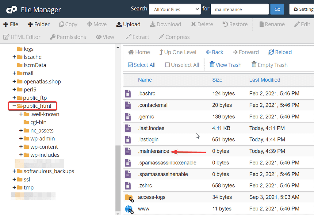 File manager maintenance